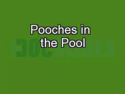 Pooches in the Pool