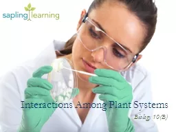 Interactions Among Plant Systems