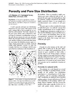 Porosity and Pore Size Distribution