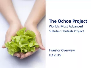 The Ochoa Project