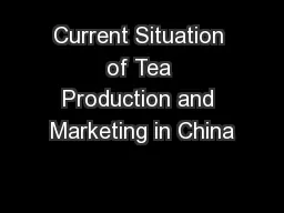 Current Situation of Tea Production and Marketing in China