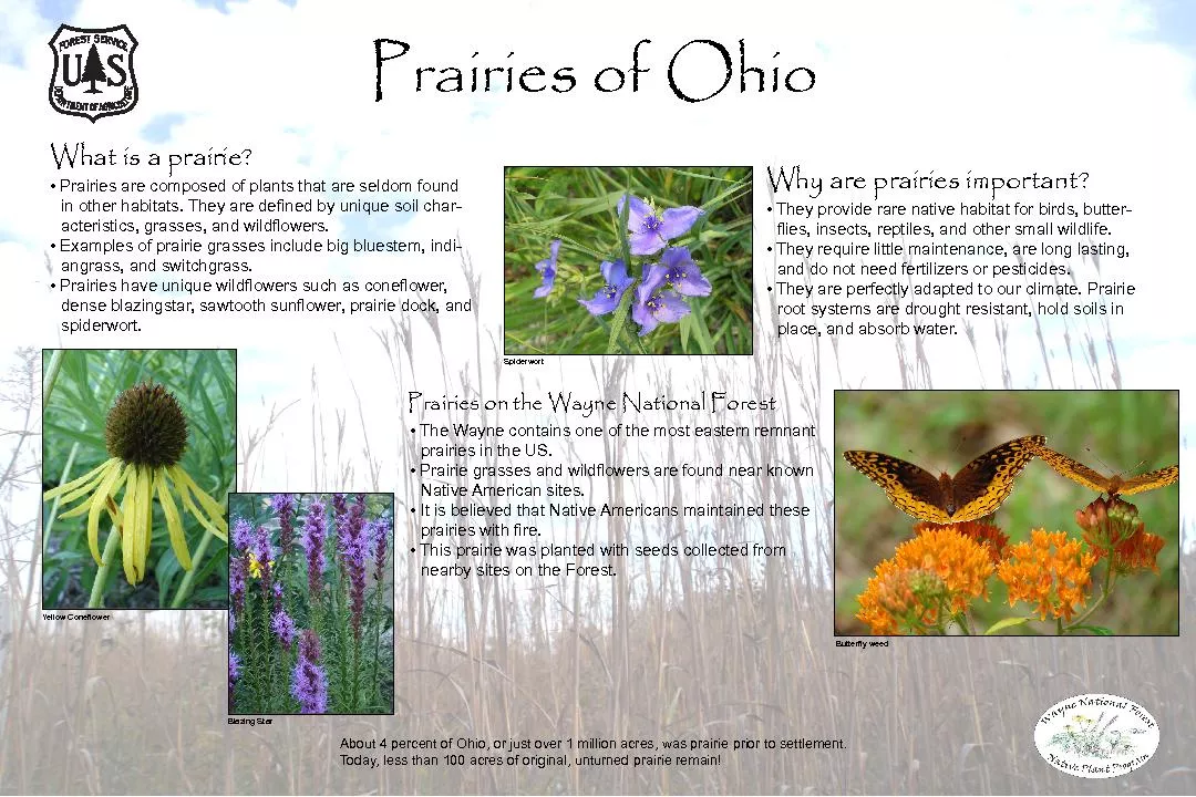 Prairies of Ohio