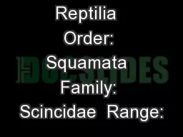 Reptilia  Order: Squamata  Family: Scincidae  Range: