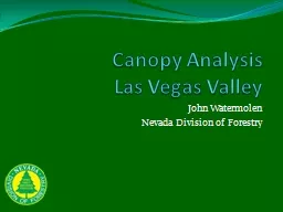 Canopy Analysis