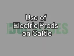 Use of Electric Prods on Cattle