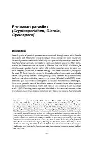 Several species of parasitic protozoa are transmitted through water, w