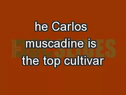 he Carlos muscadine is the top cultivar