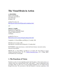 The Visual Brain in Action