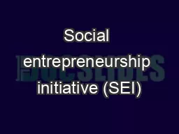 Social entrepreneurship initiative (SEI)