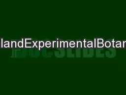 EnvironmentalandExperimentalBotany60(2007)105