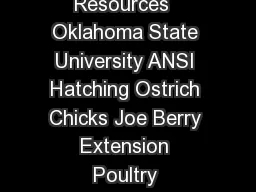 Division of Agricultural Sciences and Natural Resources  Oklahoma State University ANSI Hatching Ostrich Chicks Joe Berry Extension Poultry Specialist Production of the ostrich in the United States i