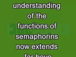 Our understanding of the functions of semaphorins now extends far beyo