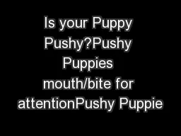 Is your Puppy Pushy?Pushy Puppies mouth/bite for attentionPushy Puppie