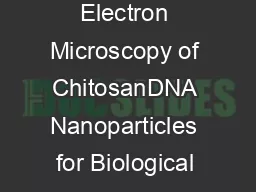 Fluorescence and Scanning Electron Microscopy of ChitosanDNA Nanoparticles for Biological