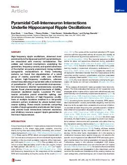 PyramidalCell-InterneuronInteractionsUnderlieHippocampalRippleOscillat