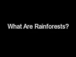 What Are Rainforests?