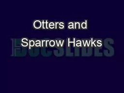 Otters and Sparrow Hawks