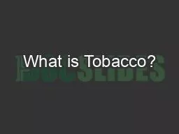 What is Tobacco?