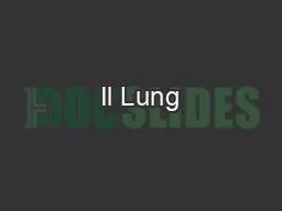 Il Lung