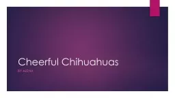 Cheerful Chihuahuas