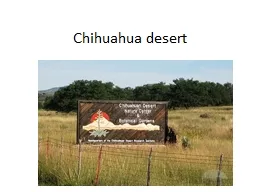 Chihuahua desert