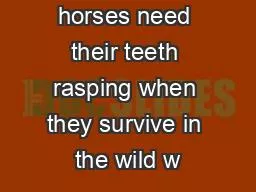 Why do horses need their teeth rasping when they survive in the wild w