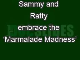 Sammy and Ratty embrace the ‘Marmalade Madness’
