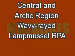 Central and Arctic Region Wavy-rayed Lampmussel RPA