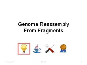 !An analogy to the human genome stored on DNA is that of instructions