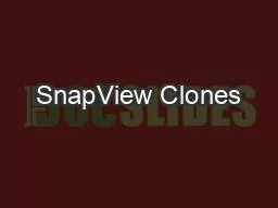 SnapView Clones