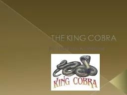 THE KING COBRA