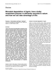 Microbialdegradationoflignin:howabulkyrecalcitrantpolymerisefficiently