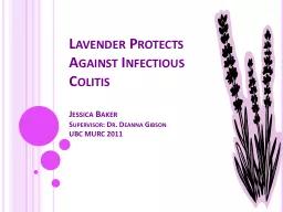 Lavender Protects Against Infectious Colitis