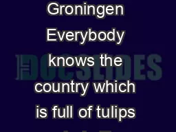 In the Netherlands City of Groningen Everybody knows the country which is full of tulips