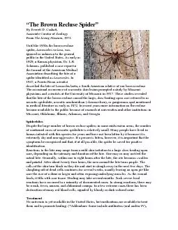 the brown recluse spider by everett d cashatt associate