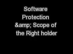 Software Protection & Scope of the Right holder