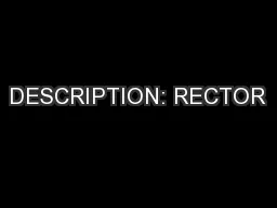 DESCRIPTION: RECTOR