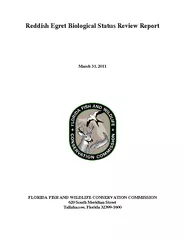 Reddish Egret Biological Status Review ReportMarch 31, 2011FLORIDA FIS