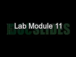 Lab Module 11