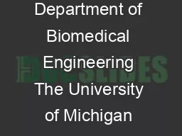 B E Layton Department of Biomedical Engineering The University of Michigan Ann Arbor MI