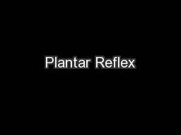 Plantar Reflex