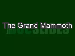 The Grand Mammoth