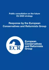 Public consultation on the future EU 2020 strategyResponse by the Euro