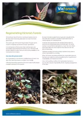 Did you know that VicForests re-seeds and replants trees in all areas