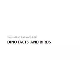 DINO FACTS AND BIRDS