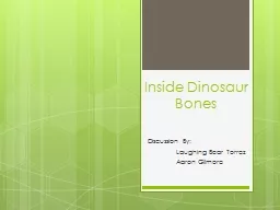 Inside Dinosaur Bones