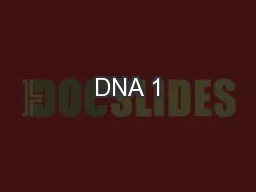 DNA 1