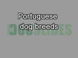 Portuguese dog breeds