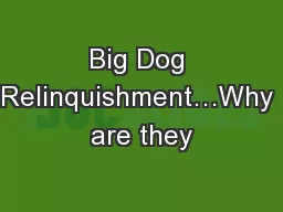 Big Dog Relinquishment…Why are they