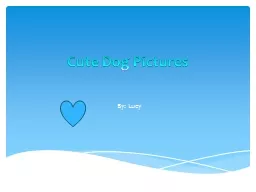 Cute Dog Pictures